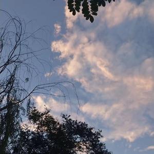 一区二区谢精交配
